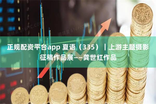 正规配资平台app 夏语（335）｜上游主题摄影征稿作品展——龚世红作品