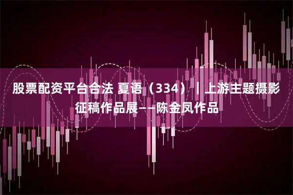 股票配资平台合法 夏语（334）｜上游主题摄影征稿作品展——陈金凤作品